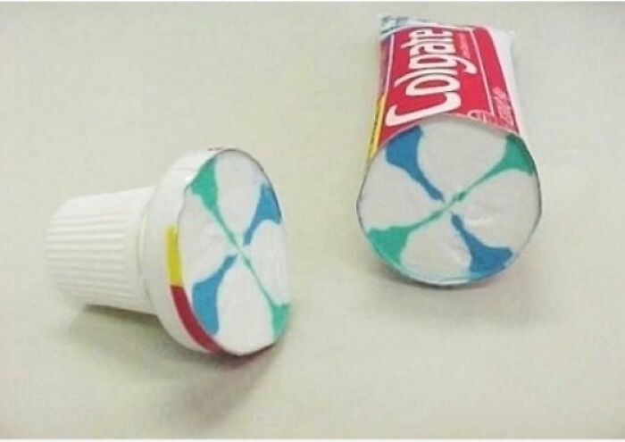 &ldquo;Not What I Expected&rdquo;: 86 Interesting And Surprising Photos Of Objects Cut In Half