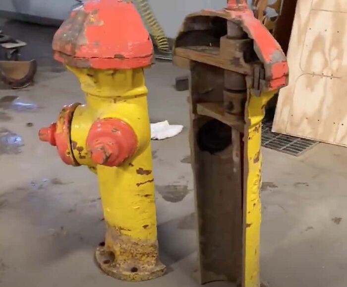 &ldquo;Not What I Expected&rdquo;: 86 Interesting And Surprising Photos Of Objects Cut In Half