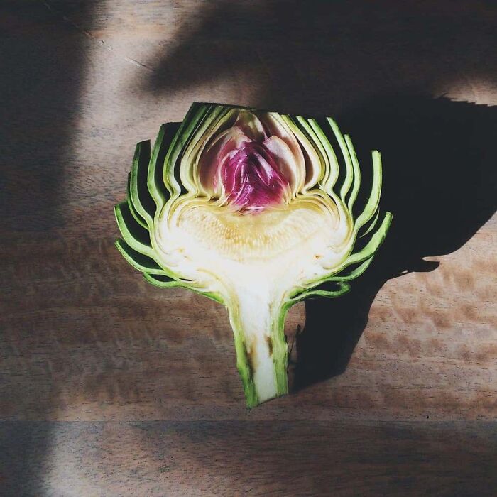 &ldquo;Not What I Expected&rdquo;: 86 Interesting And Surprising Photos Of Objects Cut In Half