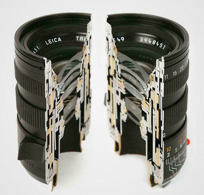 &ldquo;Not What I Expected&rdquo;: 86 Interesting And Surprising Photos Of Objects Cut In Half