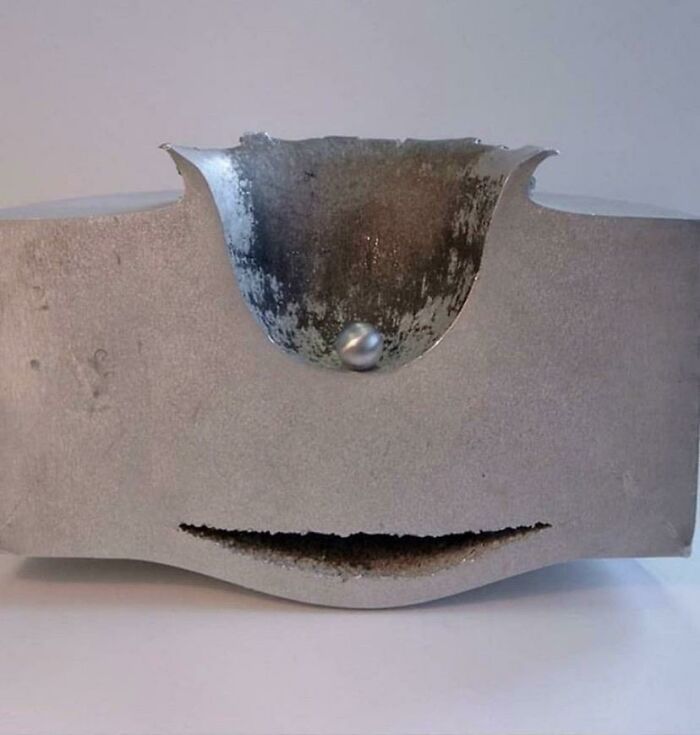 &ldquo;Not What I Expected&rdquo;: 86 Interesting And Surprising Photos Of Objects Cut In Half