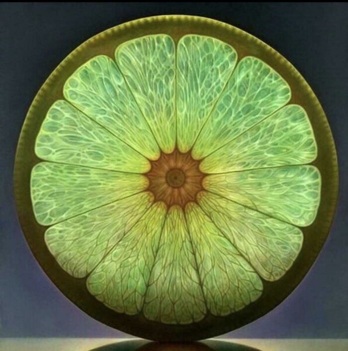 &ldquo;Not What I Expected&rdquo;: 86 Interesting And Surprising Photos Of Objects Cut In Half