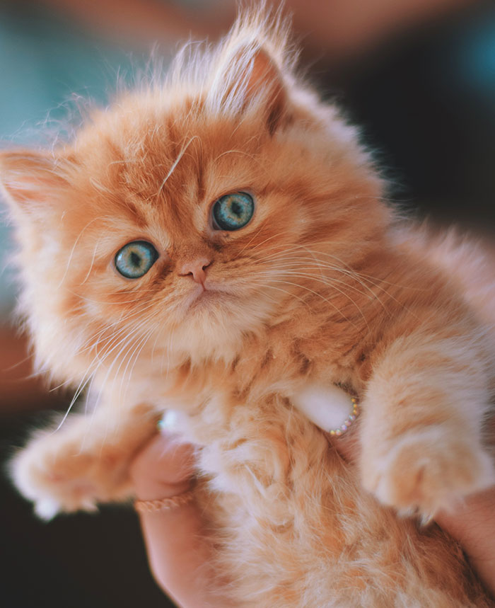 56 Harmless Secrets People Keep That Might Warm Your Heart 56 Harmless Secrets People Keep That Might Warm Your Heart
