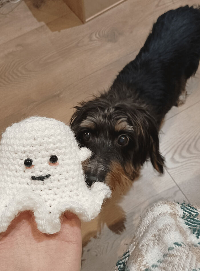 73 Crochet Creations That Prove Not Every Craft Project Turns Out As Intended
