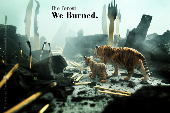 This Photographer Built Miniature Habitats To Show How Waste And Industry Are Endangering Animals
