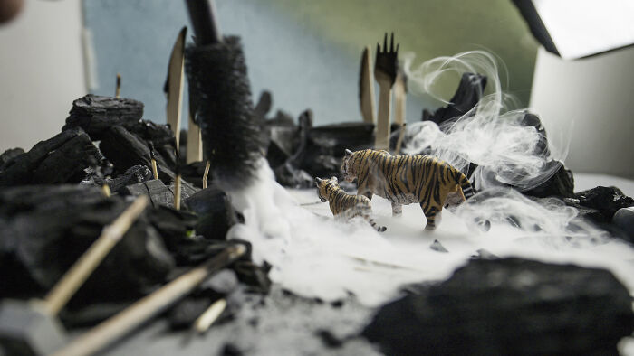 This Photographer Built Miniature Habitats To Show How Waste And Industry Are Endangering Animals
