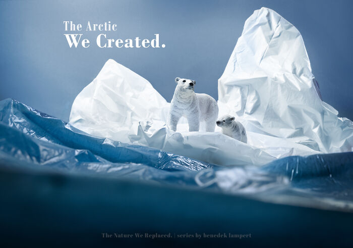 This Photographer Built Miniature Habitats To Show How Waste And Industry Are Endangering Animals