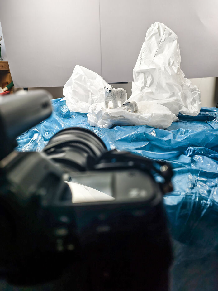 This Photographer Built Miniature Habitats To Show How Waste And Industry Are Endangering Animals