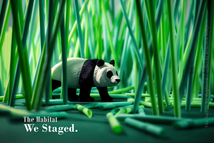 This Photographer Built Miniature Habitats To Show How Waste And Industry Are Endangering Animals
