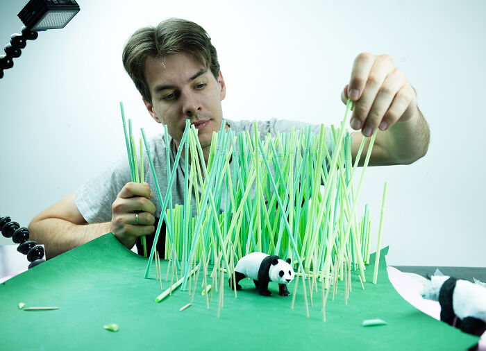 This Photographer Built Miniature Habitats To Show How Waste And Industry Are Endangering Animals