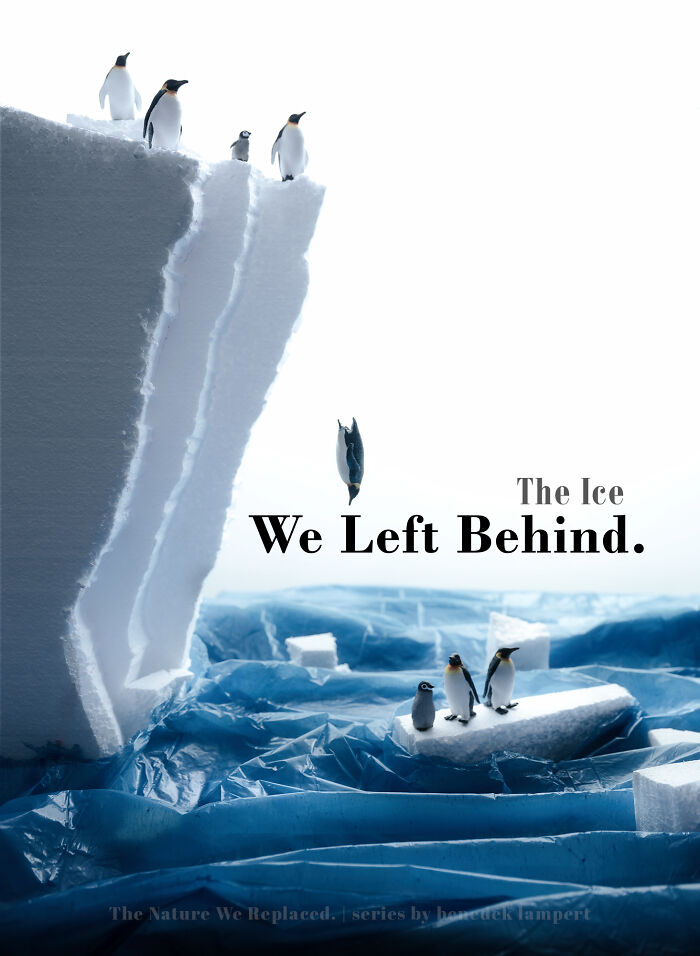 This Photographer Built Miniature Habitats To Show How Waste And Industry Are Endangering Animals