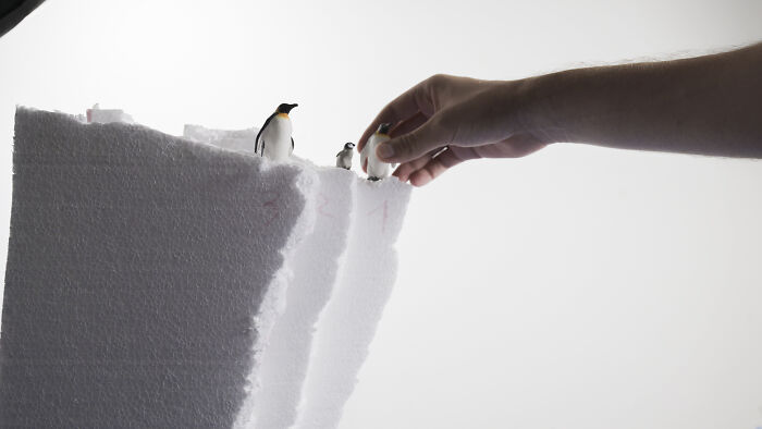 This Photographer Built Miniature Habitats To Show How Waste And Industry Are Endangering Animals