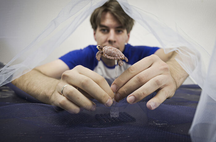 This Photographer Built Miniature Habitats To Show How Waste And Industry Are Endangering Animals
