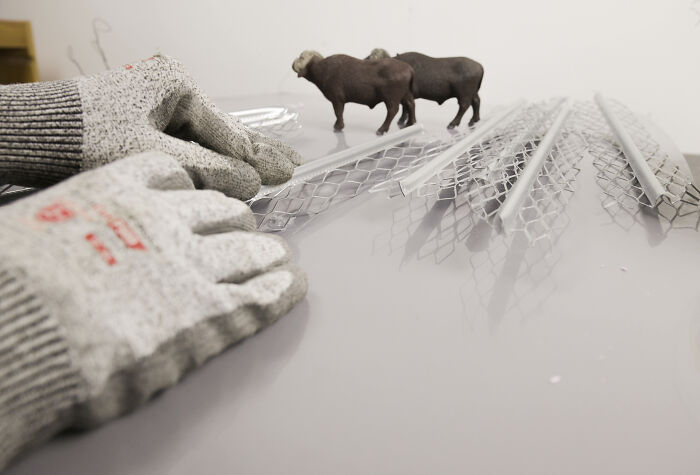 This Photographer Built Miniature Habitats To Show How Waste And Industry Are Endangering Animals