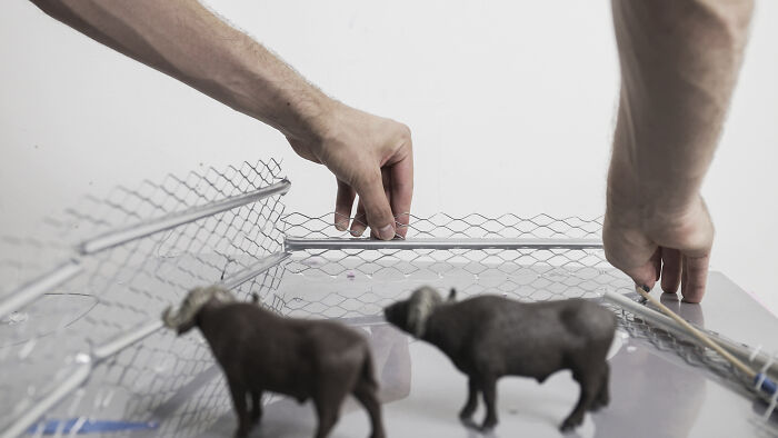 This Photographer Built Miniature Habitats To Show How Waste And Industry Are Endangering Animals