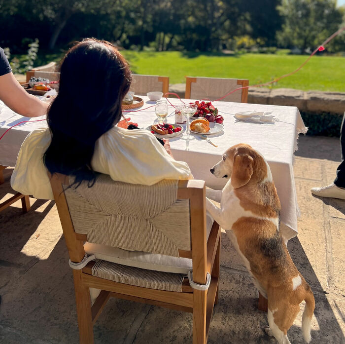 Report Reveals Meghan Markle And Prince Harry’s Montecito Neighbors’ Brutal Reactions To Their Move Back To UK Report Reveals Meghan Markle And Prince Harry’s Montecito Neighbors’ Brutal Reactions To Their Move Back To UK
