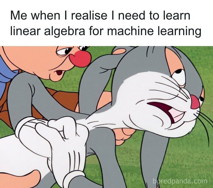 Even If You’ve Never Taken A Stats Class, 71 Of These Memes Might Still Make You Laugh