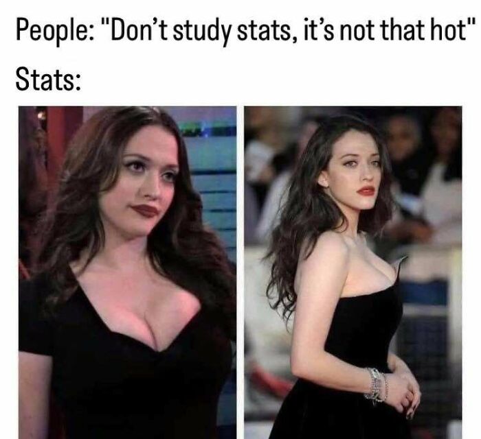 Even If You’ve Never Taken A Stats Class, 71 Of These Memes Might Still Make You Laugh