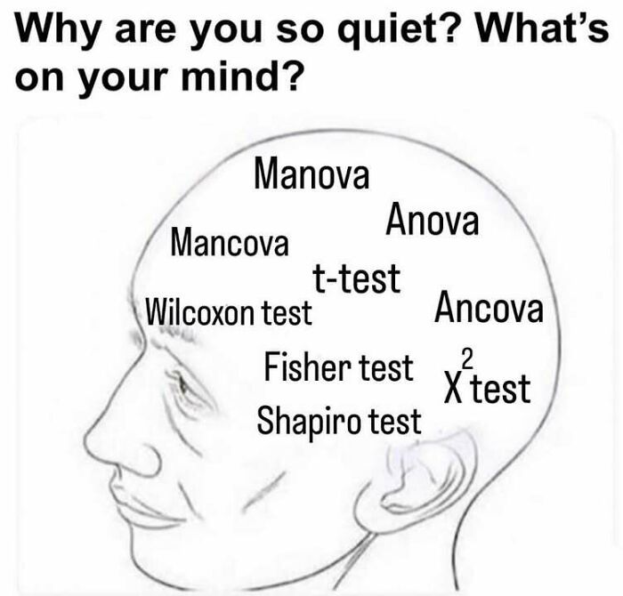 Even If You’ve Never Taken A Stats Class, 71 Of These Memes Might Still Make You Laugh