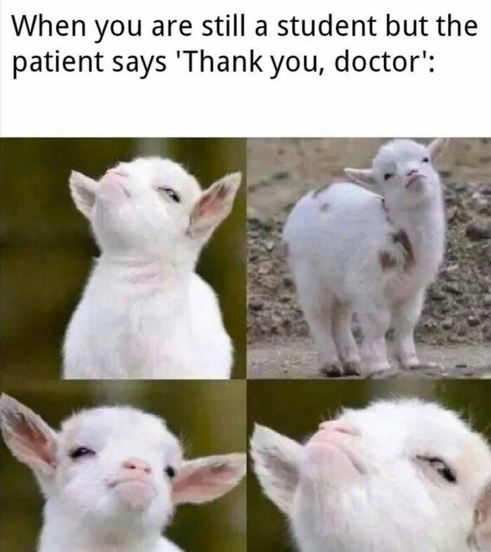 85 Funny Medical Memes That Might Be Just What The Doctor Ordered 85 Funny Medical Memes That Might Be Just What The Doctor Ordered