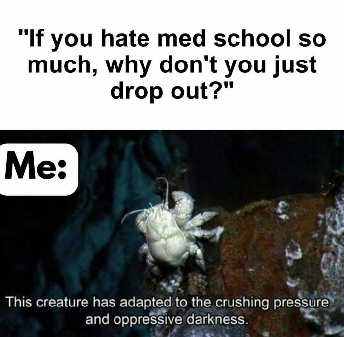 85 Funny Medical Memes That Might Be Just What The Doctor Ordered 85 Funny Medical Memes That Might Be Just What The Doctor Ordered