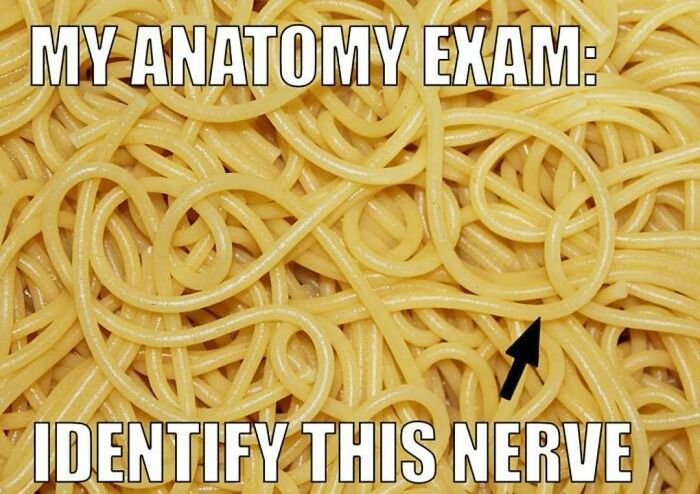 85 Funny Medical Memes That Might Be Just What The Doctor Ordered 85 Funny Medical Memes That Might Be Just What The Doctor Ordered
