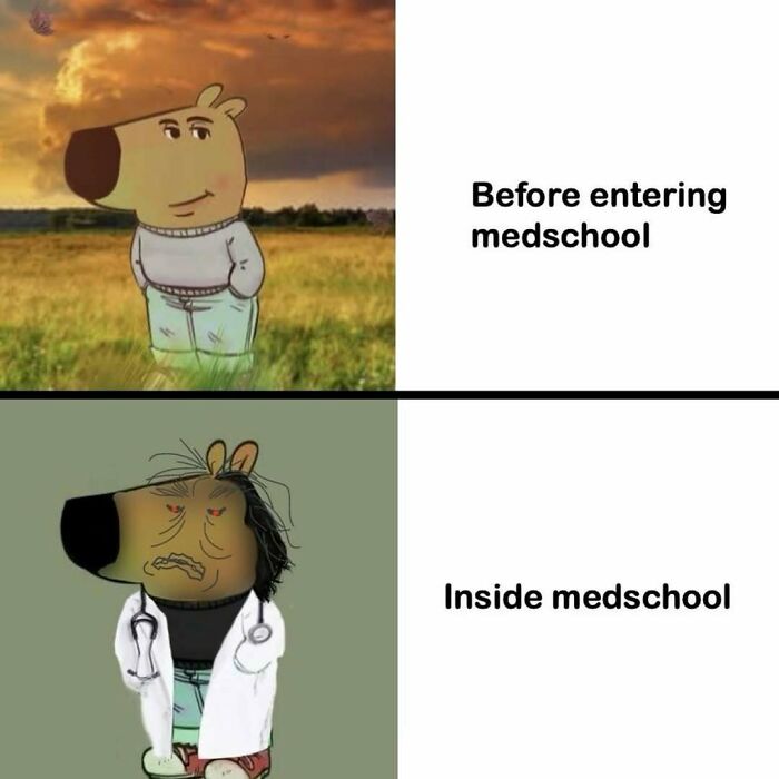 85 Funny Medical Memes That Might Be Just What The Doctor Ordered 85 Funny Medical Memes That Might Be Just What The Doctor Ordered
