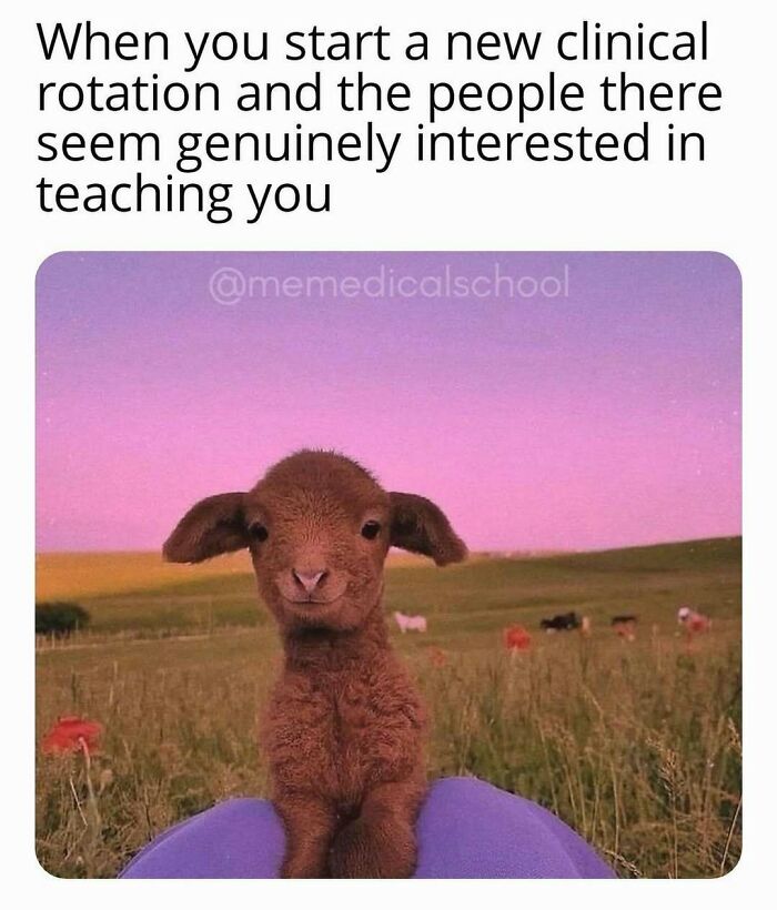 85 Funny Medical Memes That Might Be Just What The Doctor Ordered 85 Funny Medical Memes That Might Be Just What The Doctor Ordered