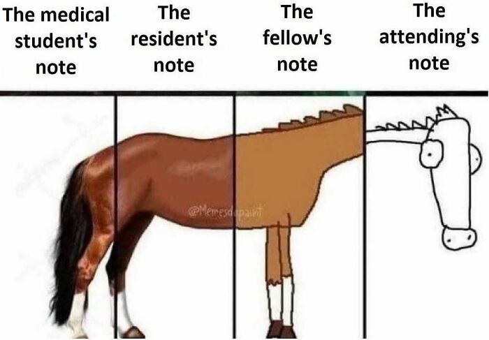 85 Funny Medical Memes That Might Be Just What The Doctor Ordered 85 Funny Medical Memes That Might Be Just What The Doctor Ordered