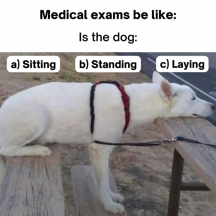 85 Funny Medical Memes That Might Be Just What The Doctor Ordered 85 Funny Medical Memes That Might Be Just What The Doctor Ordered