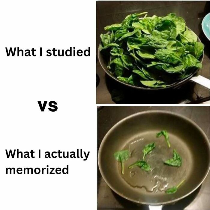 85 Funny Medical Memes That Might Be Just What The Doctor Ordered 85 Funny Medical Memes That Might Be Just What The Doctor Ordered