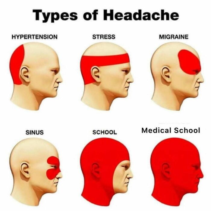 85 Funny Medical Memes That Might Be Just What The Doctor Ordered 85 Funny Medical Memes That Might Be Just What The Doctor Ordered