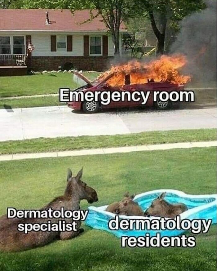 85 Funny Medical Memes That Might Be Just What The Doctor Ordered 85 Funny Medical Memes That Might Be Just What The Doctor Ordered