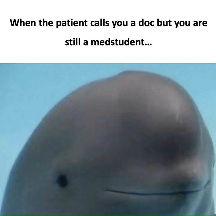 85 Funny Medical Memes That Might Be Just What The Doctor Ordered 85 Funny Medical Memes That Might Be Just What The Doctor Ordered