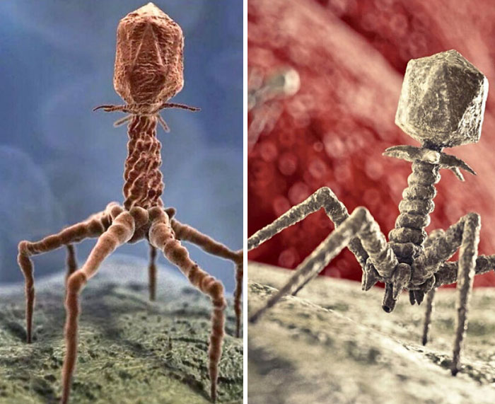 68 Strange Things Happening On Earth That Look Almost Too Incredible To Be Real (New Pics) 68 Strange Things Happening On Earth That Look Almost Too Incredible To Be Real (New Pics)