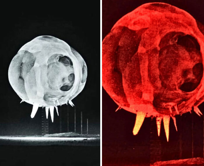 68 Strange Things Happening On Earth That Look Almost Too Incredible To Be Real (New Pics) 68 Strange Things Happening On Earth That Look Almost Too Incredible To Be Real (New Pics)