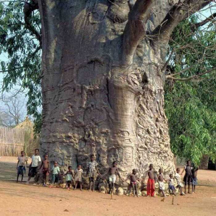 68 Strange Things Happening On Earth That Look Almost Too Incredible To Be Real (New Pics) 68 Strange Things Happening On Earth That Look Almost Too Incredible To Be Real (New Pics)