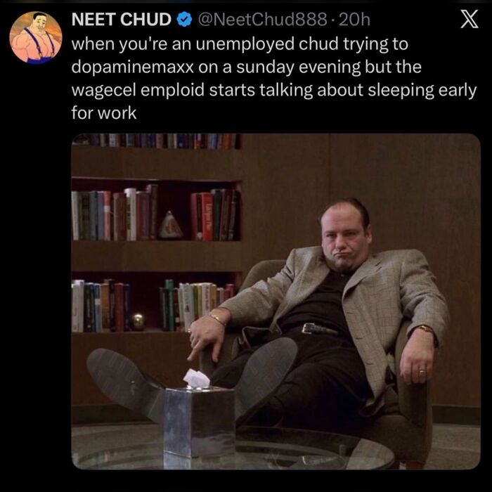 108 Hilarious Memes To Scroll Through While Procrastinating 108 Hilarious Memes To Scroll Through While Procrastinating
