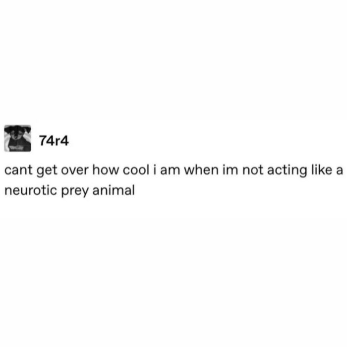 108 Hilarious Memes To Scroll Through While Procrastinating 108 Hilarious Memes To Scroll Through While Procrastinating