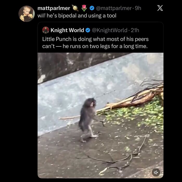 108 Hilarious Memes To Scroll Through While Procrastinating 108 Hilarious Memes To Scroll Through While Procrastinating