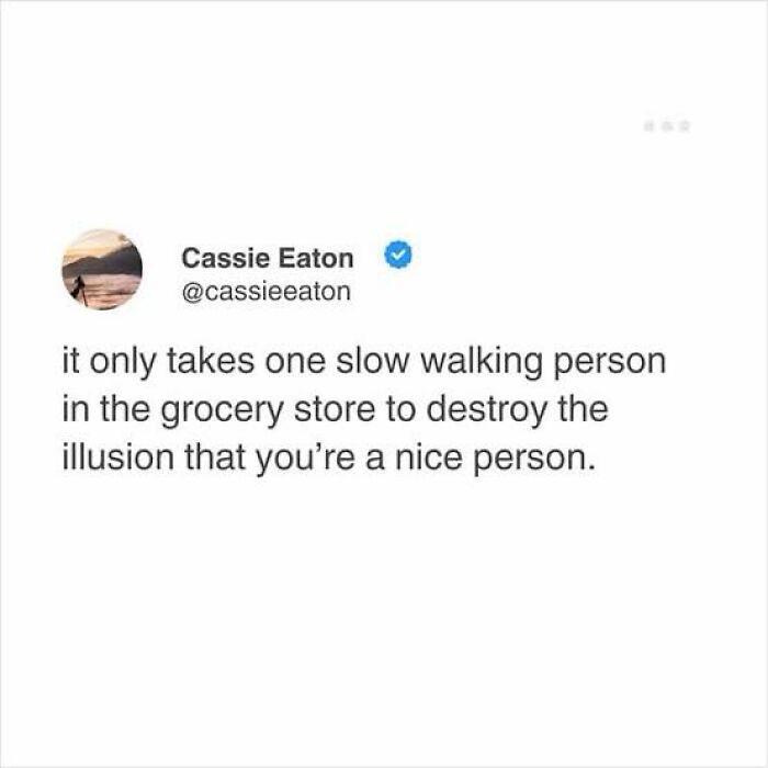 108 Hilarious Memes To Scroll Through While Procrastinating 108 Hilarious Memes To Scroll Through While Procrastinating