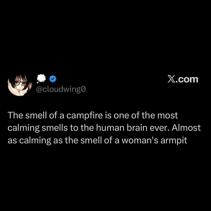 108 Hilarious Memes To Scroll Through While Procrastinating 108 Hilarious Memes To Scroll Through While Procrastinating