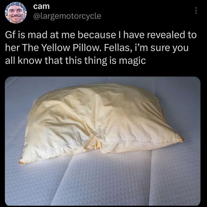 108 Hilarious Memes To Scroll Through While Procrastinating 108 Hilarious Memes To Scroll Through While Procrastinating