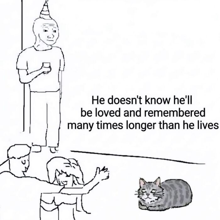 108 Hilarious Memes To Scroll Through While Procrastinating 108 Hilarious Memes To Scroll Through While Procrastinating