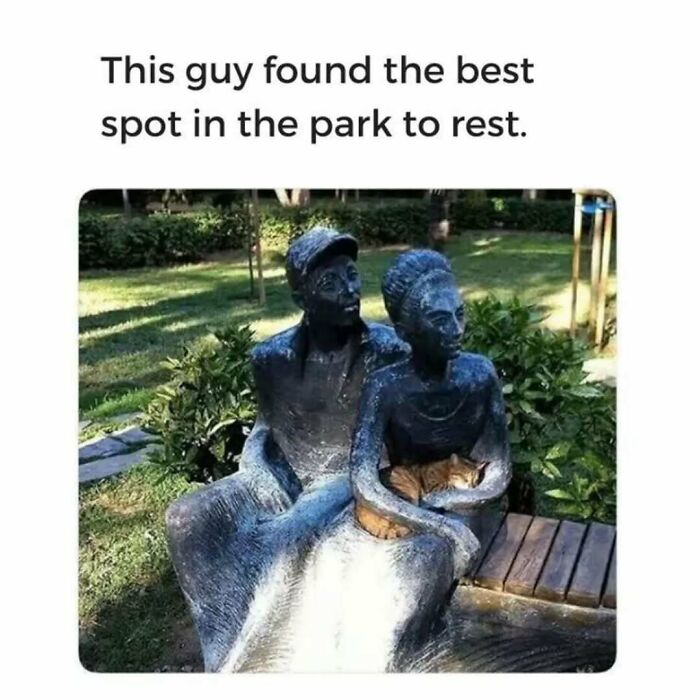 79 Silly And Cute Animal Memes That Might Be Exactly What Your Day Needs