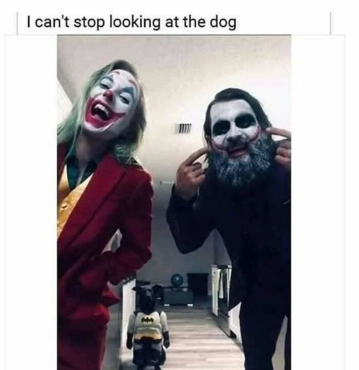 79 Silly And Cute Animal Memes That Might Be Exactly What Your Day Needs