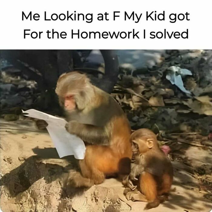 79 Silly And Cute Animal Memes That Might Be Exactly What Your Day Needs
