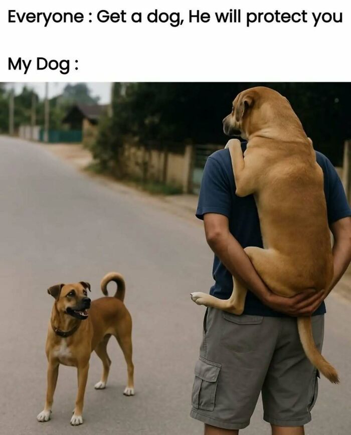 79 Silly And Cute Animal Memes That Might Be Exactly What Your Day Needs