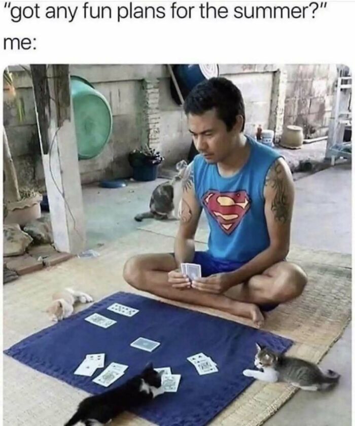 79 Silly And Cute Animal Memes That Might Be Exactly What Your Day Needs