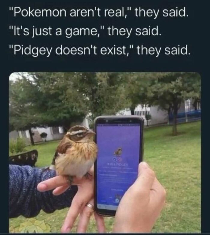 79 Silly And Cute Animal Memes That Might Be Exactly What Your Day Needs